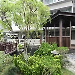 Mount Austin Midori Green 10 Pax Free Wi-Fi 500Mbps Netflix
